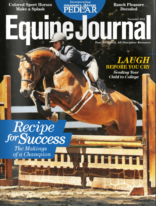 Book review for Inside Your Ride, published in Equine Journal, November 2013